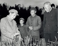 Li Jingquan, leader of Sichuan province where more than 10 million people died prematurely during the famine, shows off a model farm in Pixian county, March 1958.