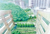 植樹計劃包括本部校園