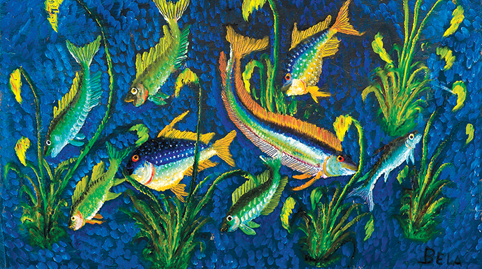 Colours of Congo