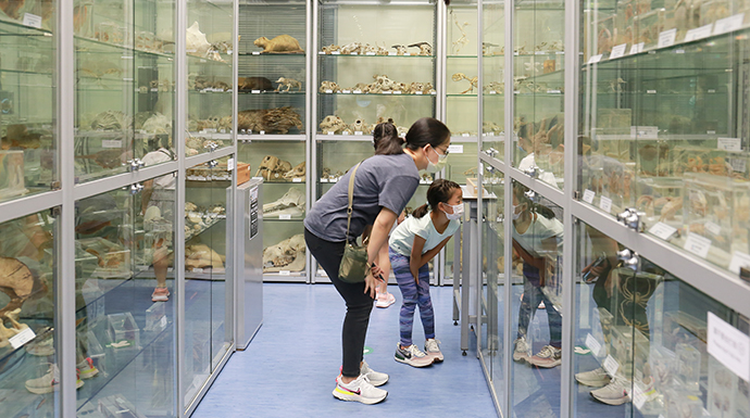 Biodiversity Museum