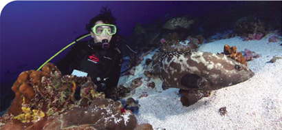 Professor Yvonne Sadovy and a big grouper