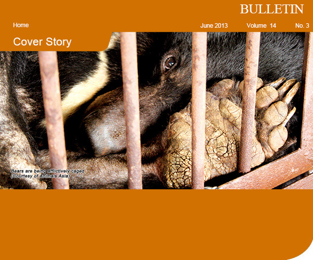 Bears are being afflictively caged (Courtesy of Animals Asia)